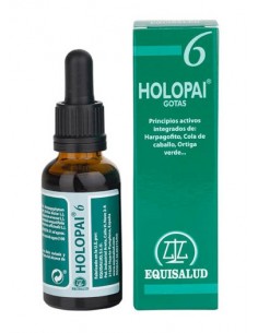Holopai 6 31 ml Equisalud