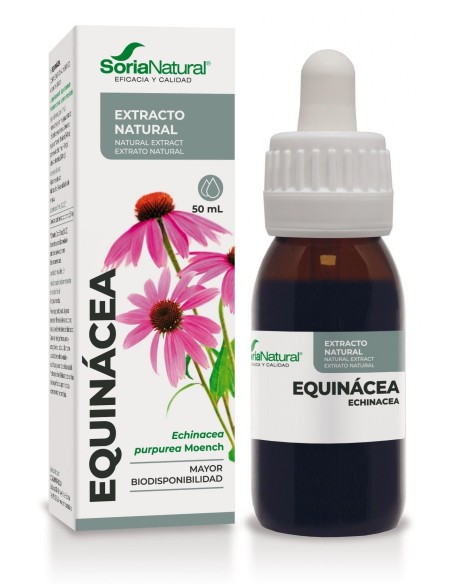 Equinácea Extracto ▷ Soria Natural XXI | HERBODELICIAS